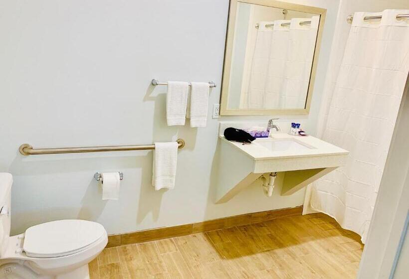 身障者適用スタンダードルーム, Americas Best Value Inn & Suites Porter North Houston