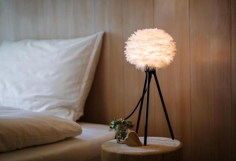 Номер Deluxe, Wildstrubel Lodge