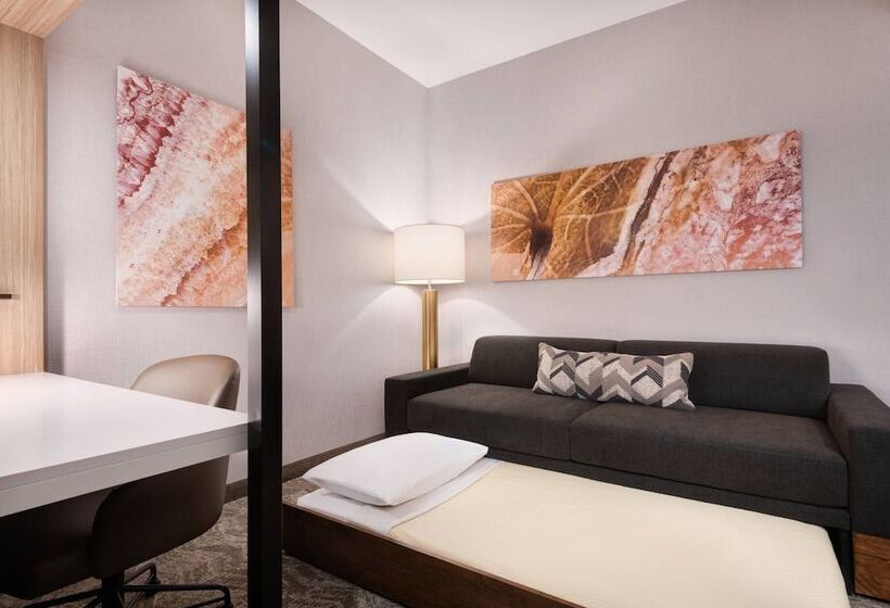 장애인을 위한 스위트, Springhill Suites By Marriott Tifton