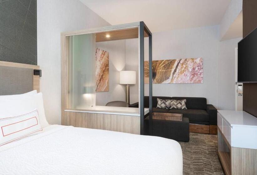 장애인을 위한 스위트, Springhill Suites By Marriott Tifton