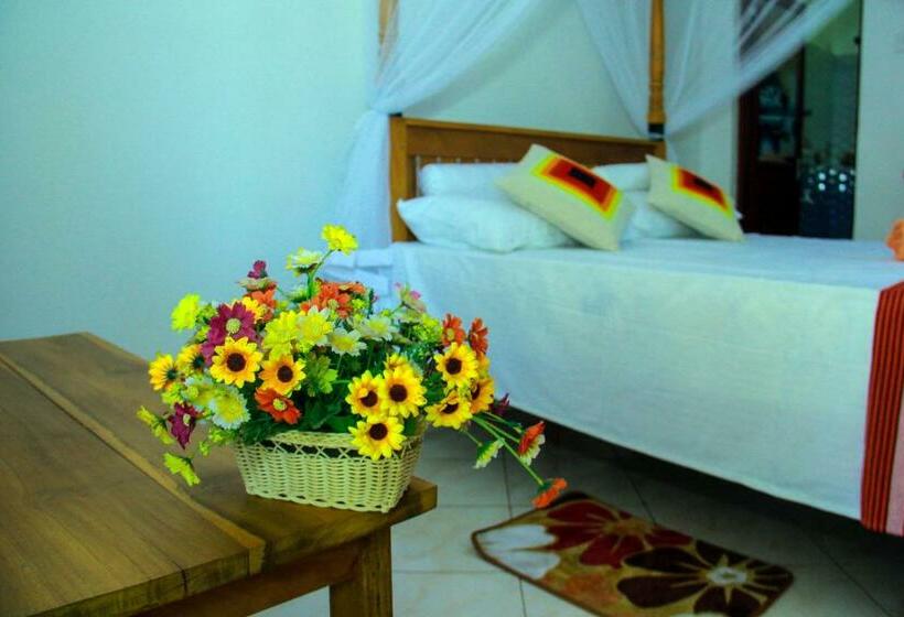اتاق لوکس, Thusitha S Nest