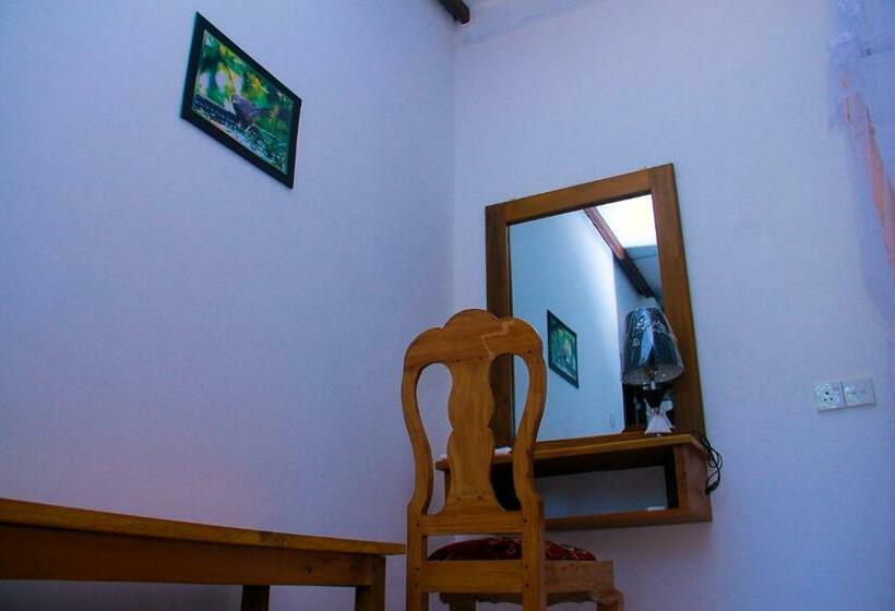 اتاق اکونومی, Thusitha S Nest