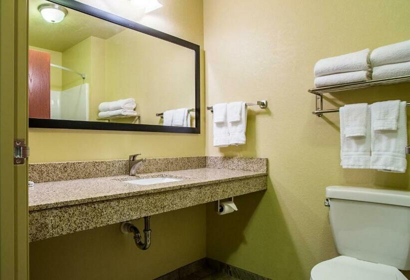 디럭스 스위트 킹 침대, Cobblestone Hotel & Suites   Orrville