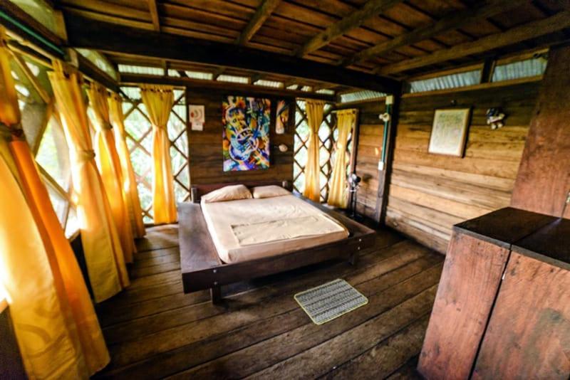 Люкс Вид на Море, Ayahuasca
