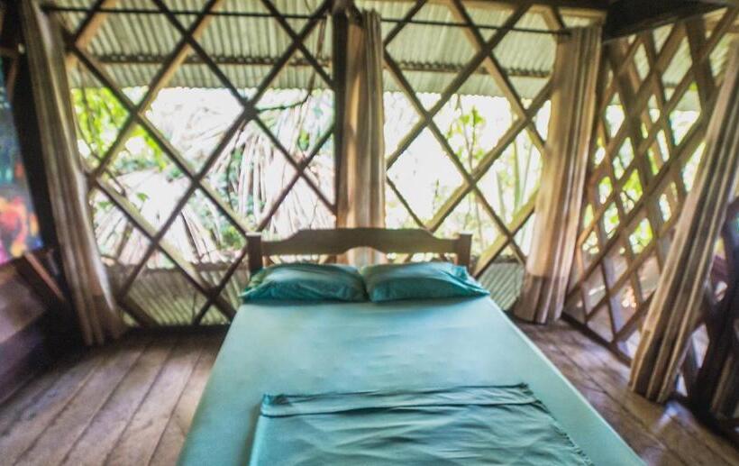 Люкс Кровать Кинг, Ayahuasca