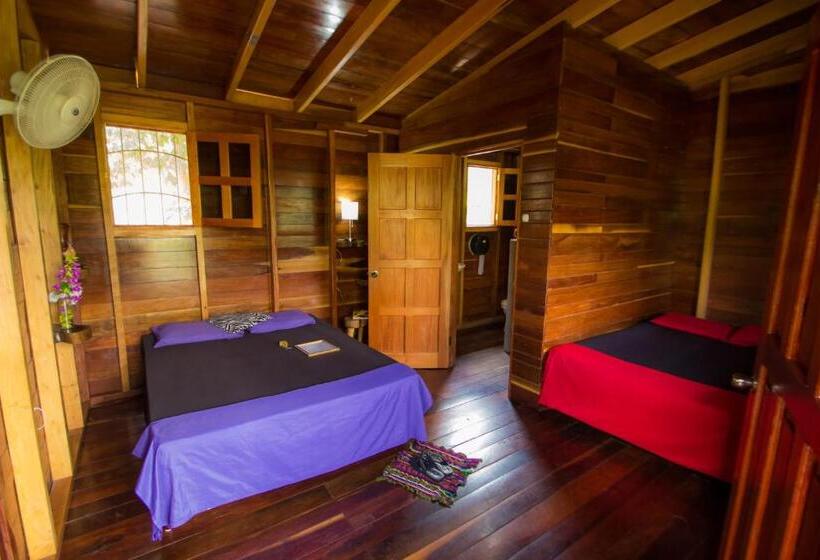 بانگلوی استاندارد, Alice Guesthouse