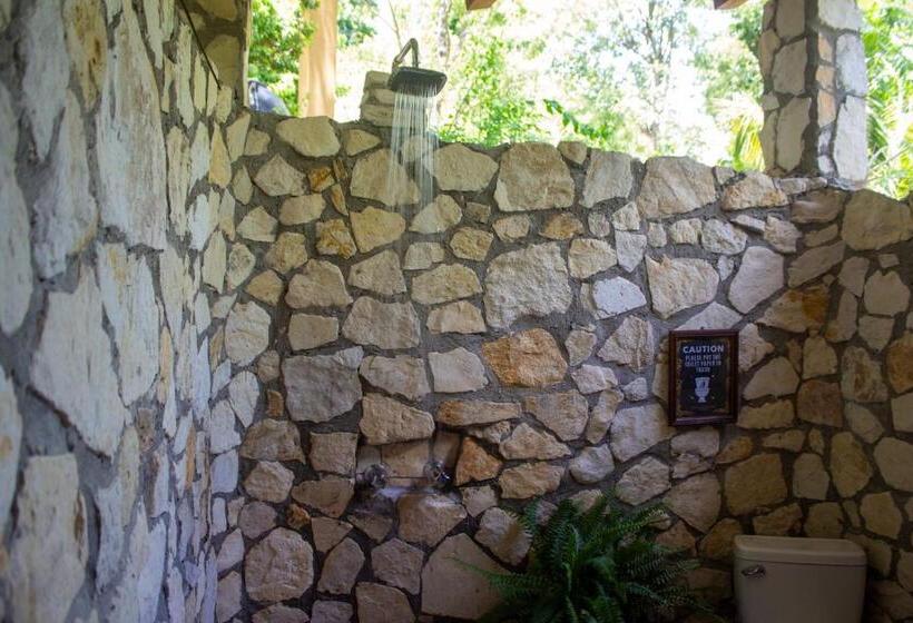 اتاق استاندارد چهارنفره با چشم‌انداز باغ, Alice Guesthouse