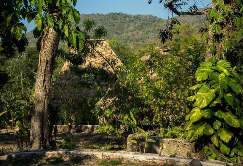 اتاق استاندارد چهارنفره با چشم‌انداز باغ, Alice Guesthouse