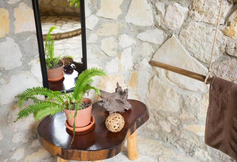 چادر با خدمات رفاهی استاندارد, Alice Guesthouse