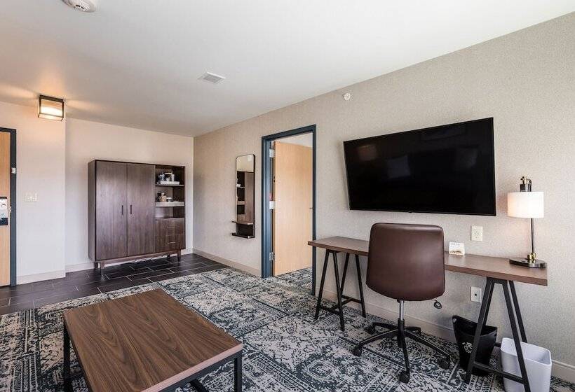 带城市景观的套间, Four Points By Sheraton Elkhart