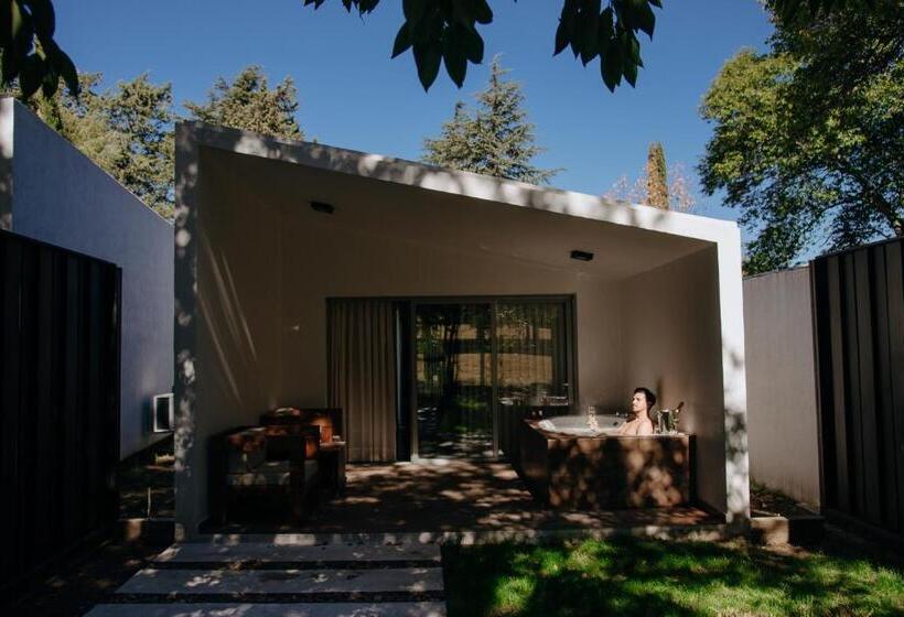 스위트, Calina Casa De Huéspedes