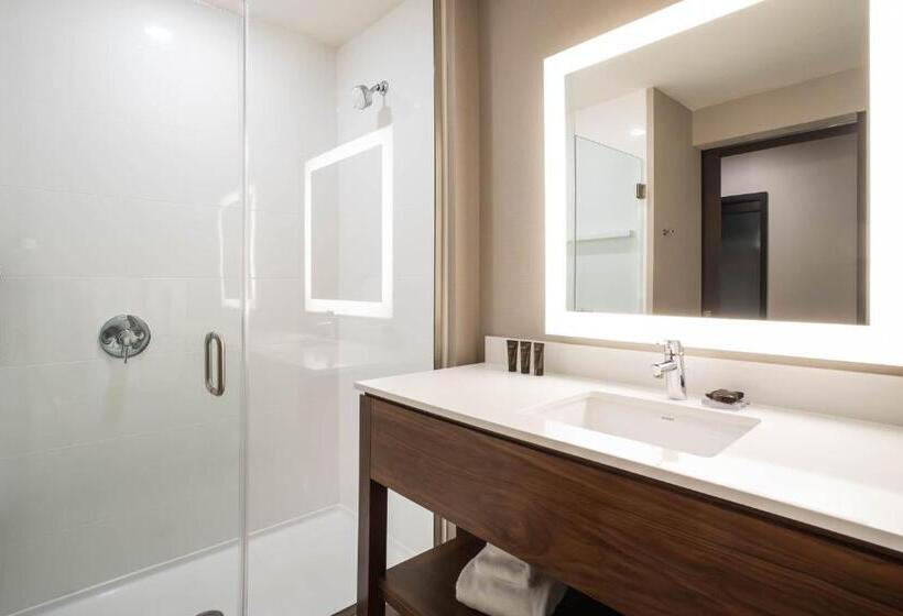 Номер Стандарт Вид на Горы, Wingate By Wyndham Denver Airport