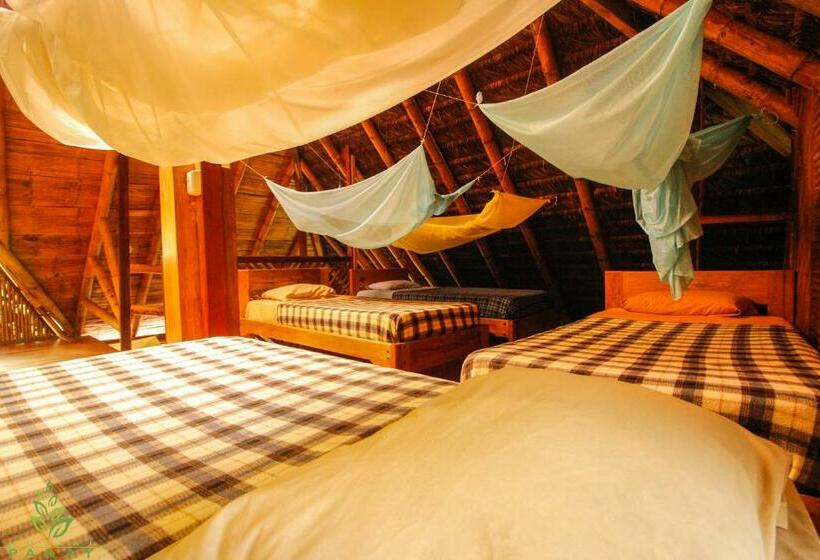 공동 객실, Hostal Pakay