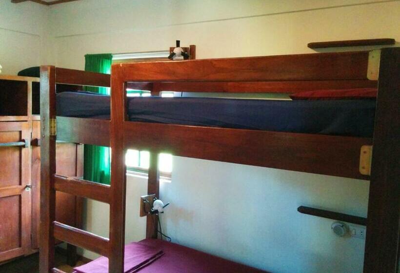 공동 객실, Pagalù Hostel