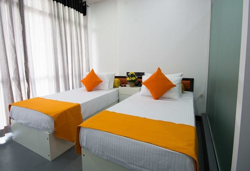 Quarto Estandar, Avora