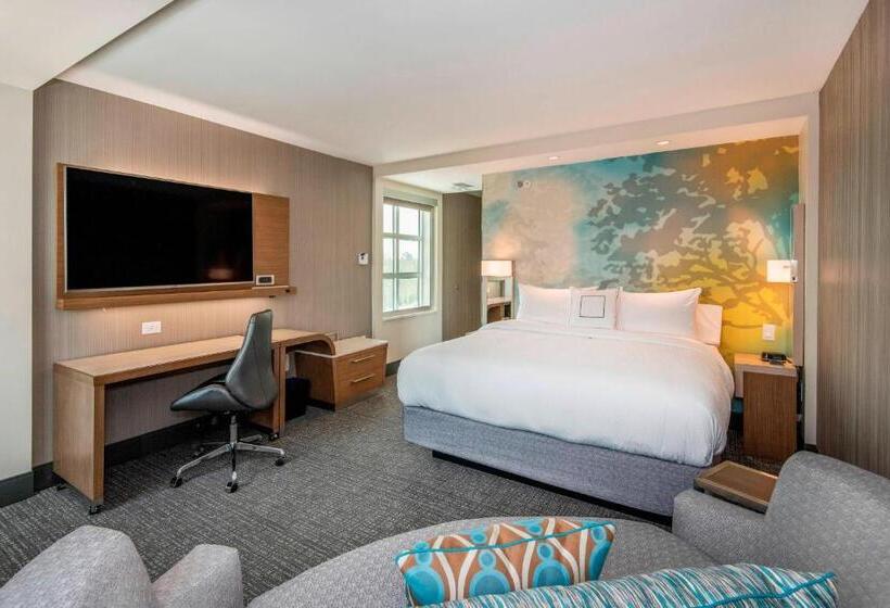Стандартный Номер Кровать Кинг, Courtyard By Marriott Raleigh Cary/parkside Town Commons