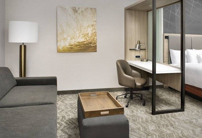 스위트, Springhill Suites By Marriott Punta Gorda Harborside