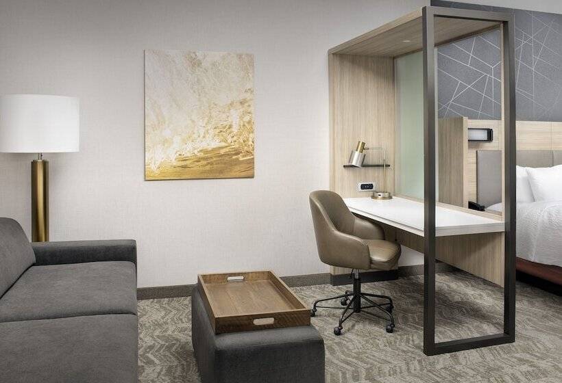 景色の見えるスイートルーム, Springhill Suites By Marriott Punta Gorda Harborside
