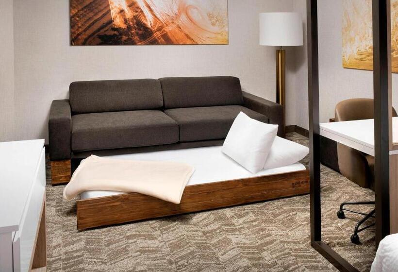 전망 스위트, Springhill Suites By Marriott Punta Gorda Harborside