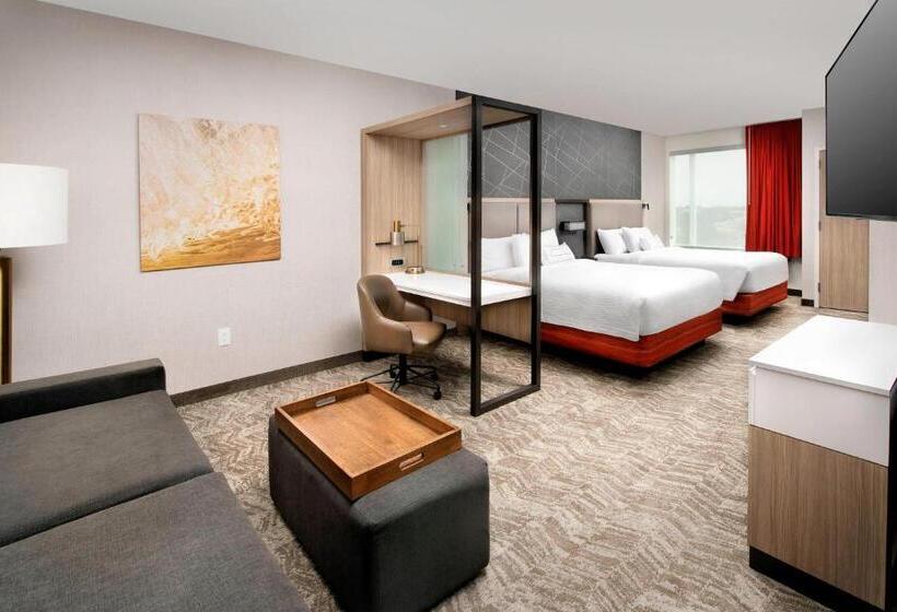 景色の見えるスイートルーム, Springhill Suites By Marriott Punta Gorda Harborside