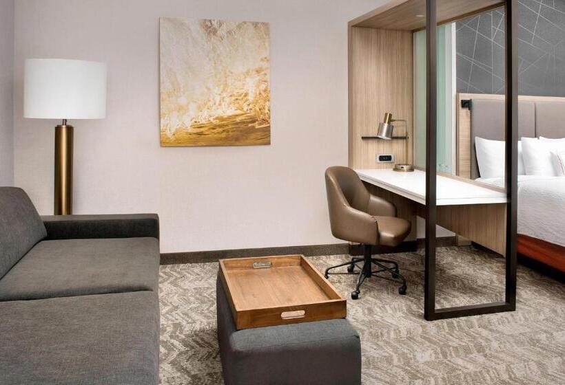 スイート, Springhill Suites By Marriott Punta Gorda Harborside