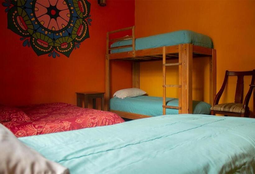 سوییت خانوادگی, Hostal Café Tiana