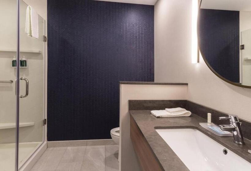 Люкс Кровать Кинг, Fairfield Inn & Suites By Marriott Northfield