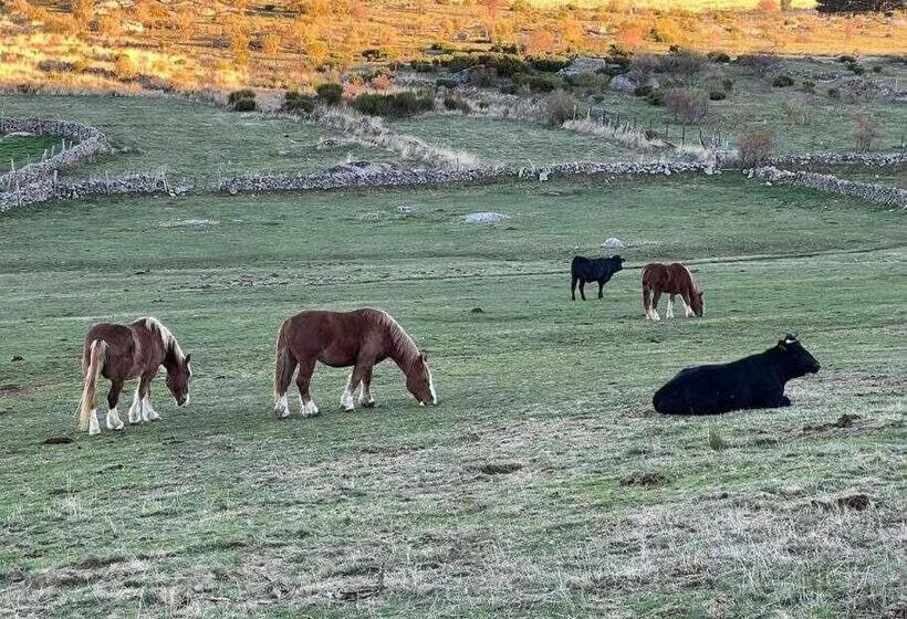 Дом 2 Спальни, El Sobrao De Gredos