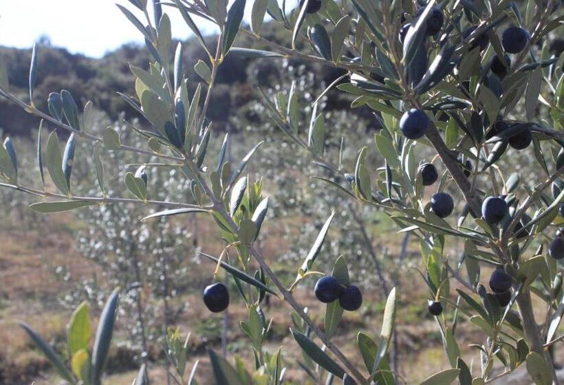 Апартаменты 1 Спальня, Finca Heredad La Boquilla