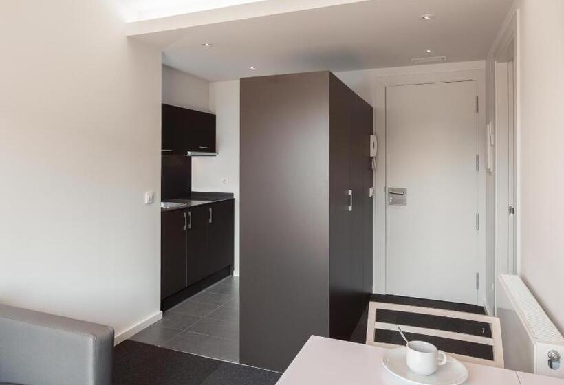 Апартаменты 1 Спальня, Apartaments I Habitacions Can Morera Olot