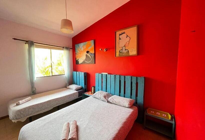 Номер Стандарт, Lagarto Hostel Tenerife