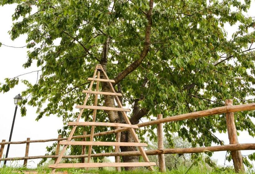 آپارتمان 1 خوابه همکف, Cascina Varini