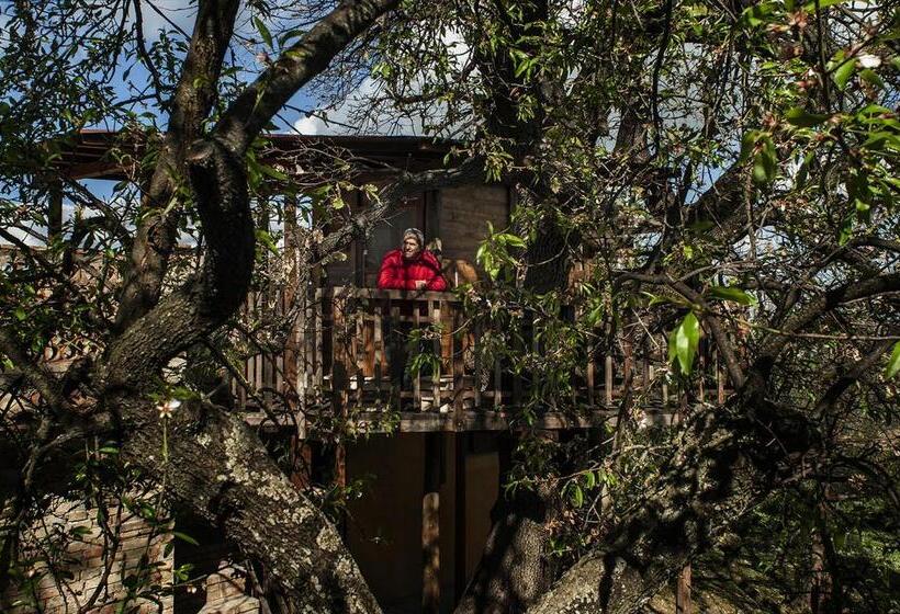 Номер Стандарт Вид на Море с Балконом, Agriturismo Via Del Campo