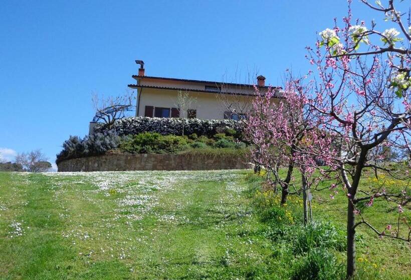 １ベッドルームアパートメント, Agriturismo Val Della Pieve