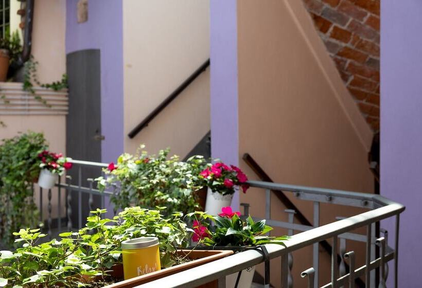 수피리어 스튜디오, Residence Ferraud