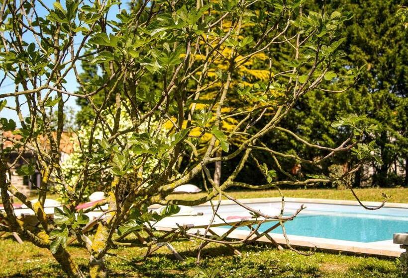 标准间带游泳池, Le Clos Du Vallon Des Courances