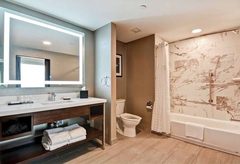 סוויטה, Embassy Suites By Hilton Plainfield Indianapolis Airport