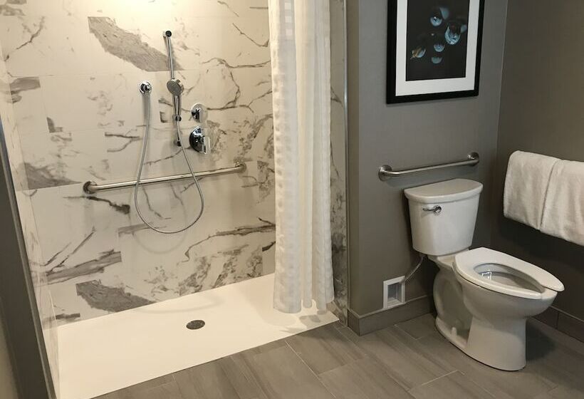סוויטה, Embassy Suites By Hilton Plainfield Indianapolis Airport