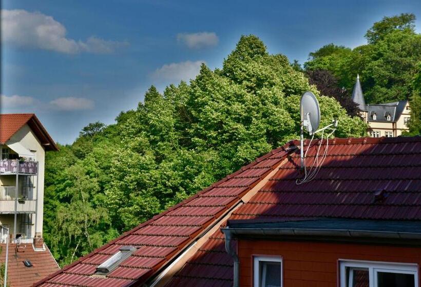 Апартаменты Superior 1 Спальня, Carl.22 City Appartements