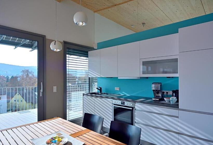 1침실 펜트하우스 아파트, Loft Apartments