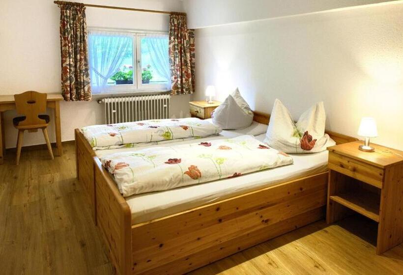 带1个卧室的公寓, Gasthaus Pension Zum Löwen