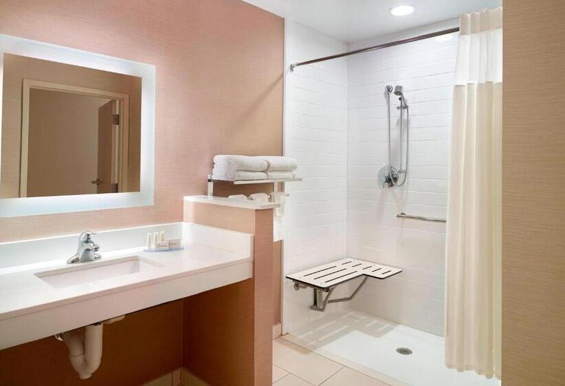 Стандартный Номер Кровать Кинг, Fairfield Inn & Suites By Marriott Hendersonville Flat Rock