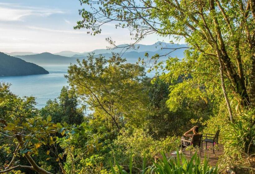 Номер Стандарт, Jungle Lodge