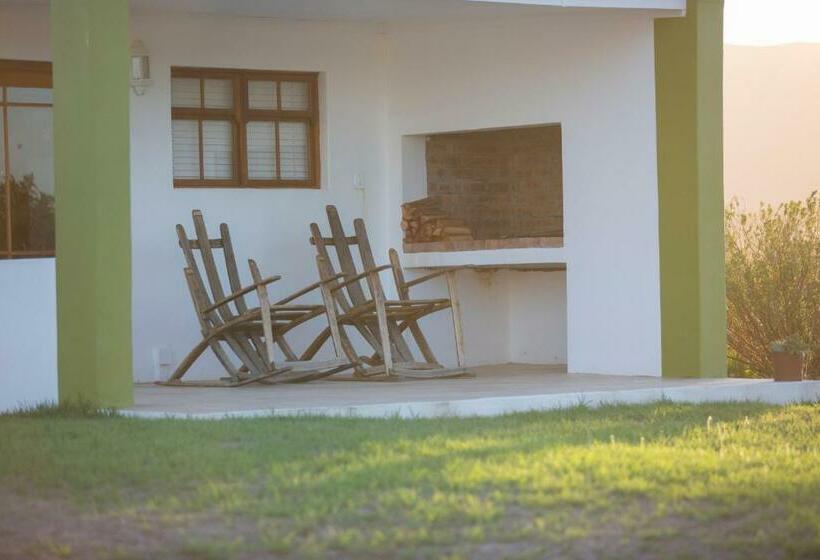 Номер Стандарт, Windfall Wine Farm