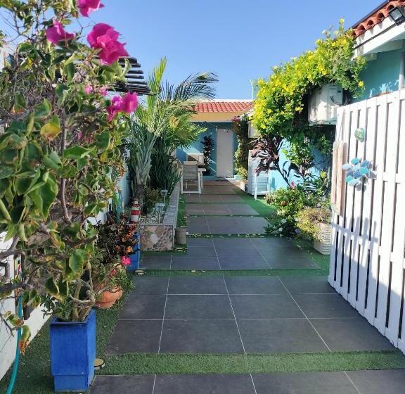 استودیوی استاندارد, Sandcastle Beach Apartments