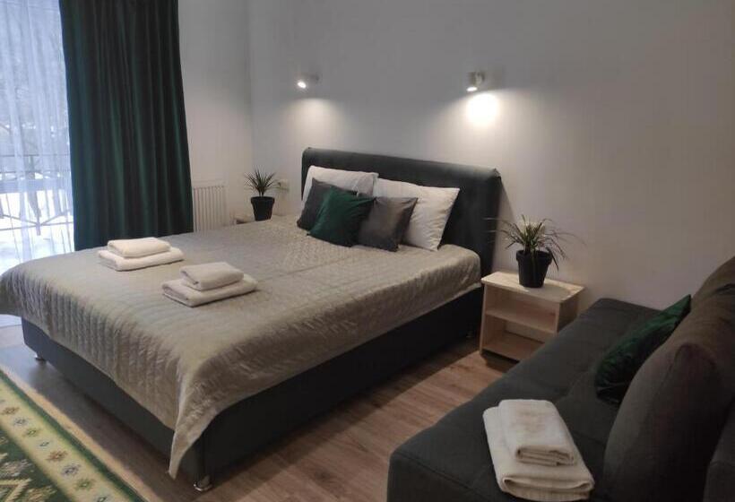 اتاق استاندارد, Guest House Svitliza
