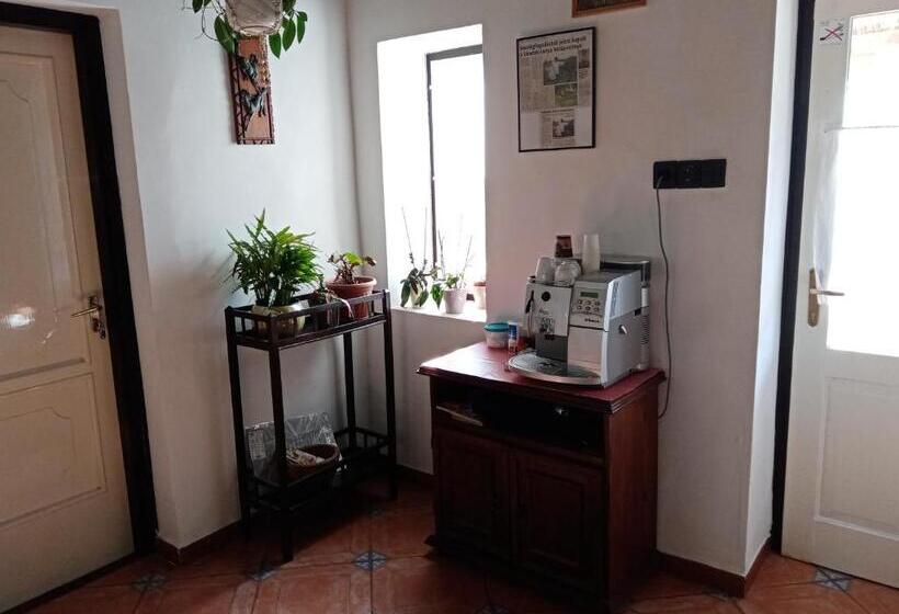家庭间, Véndektanya Vendégház