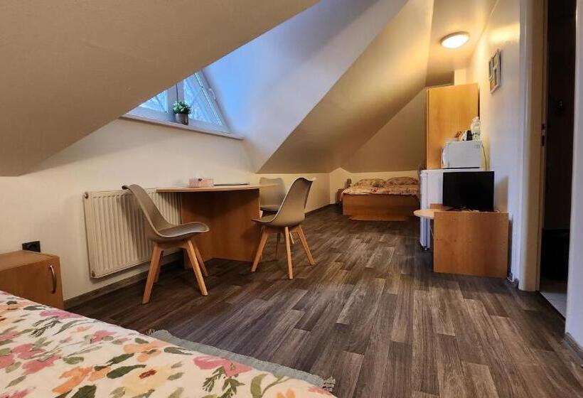 اتاق استاندارد سه نفره, Penzion Tcv Pardubice