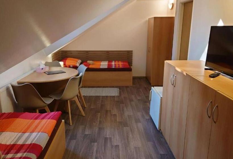 اتاق استاندارد چهار تخته, Penzion Tcv Pardubice