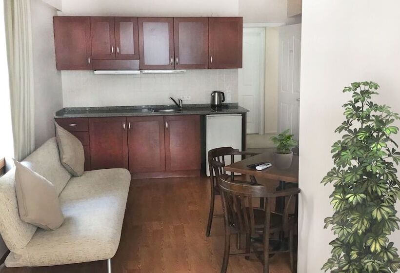 آپارتمان 1 خوابه, Kekik Apart Otel